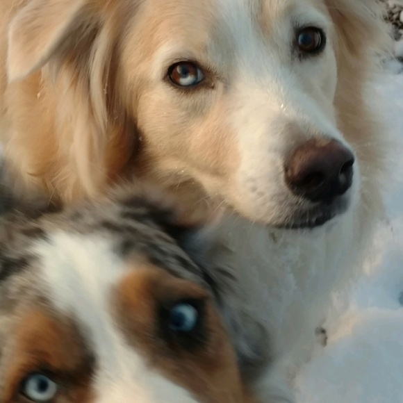 Meet your Posher, Marianne - Picture 2 of 11